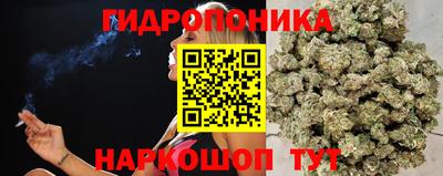 PSILOCYBIN Лесосибирск