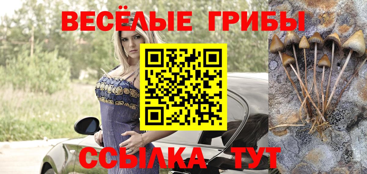 Южноуральск  Псилоцибиновые грибы GOLDEN TEACHER  Вход с VPN 