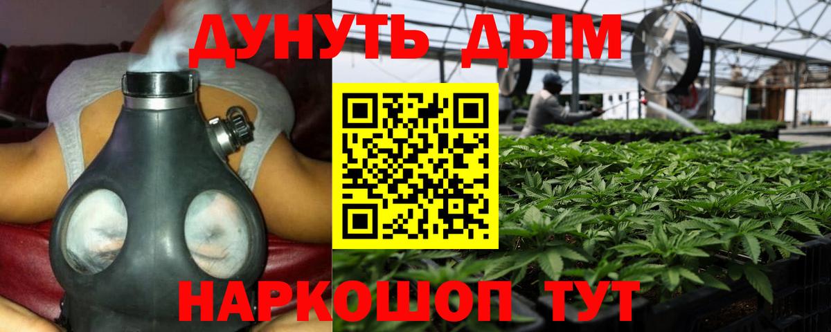 Бошки марихуана ГИДРОПОН  Вход с VPN  Южноуральск  Бошки марихуана тримм  Бошки марихуана конопля 